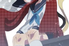 2665136f536a0da4708d5001327c8544